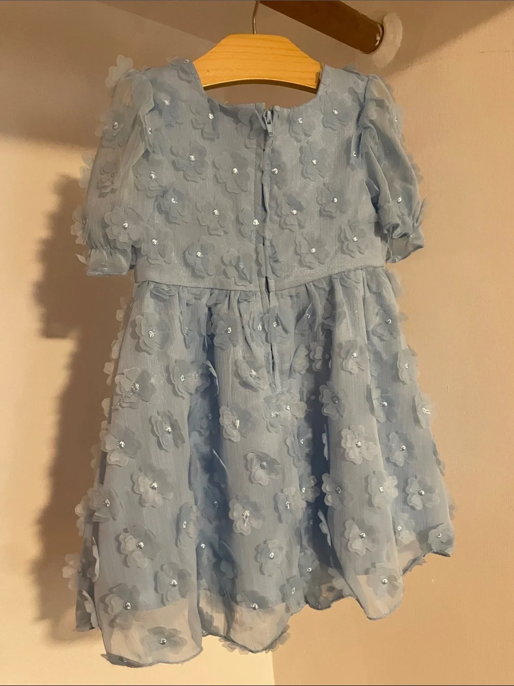 Rare Editions Light Blue Floral Applique Party Dress